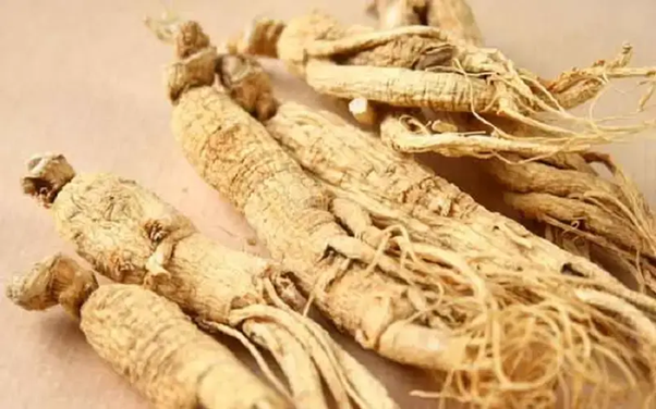 Sâm củ khô
